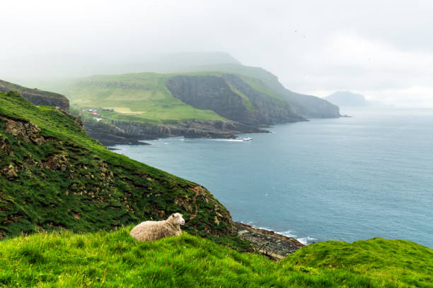 istock Summer view of Mykines island 1210817306