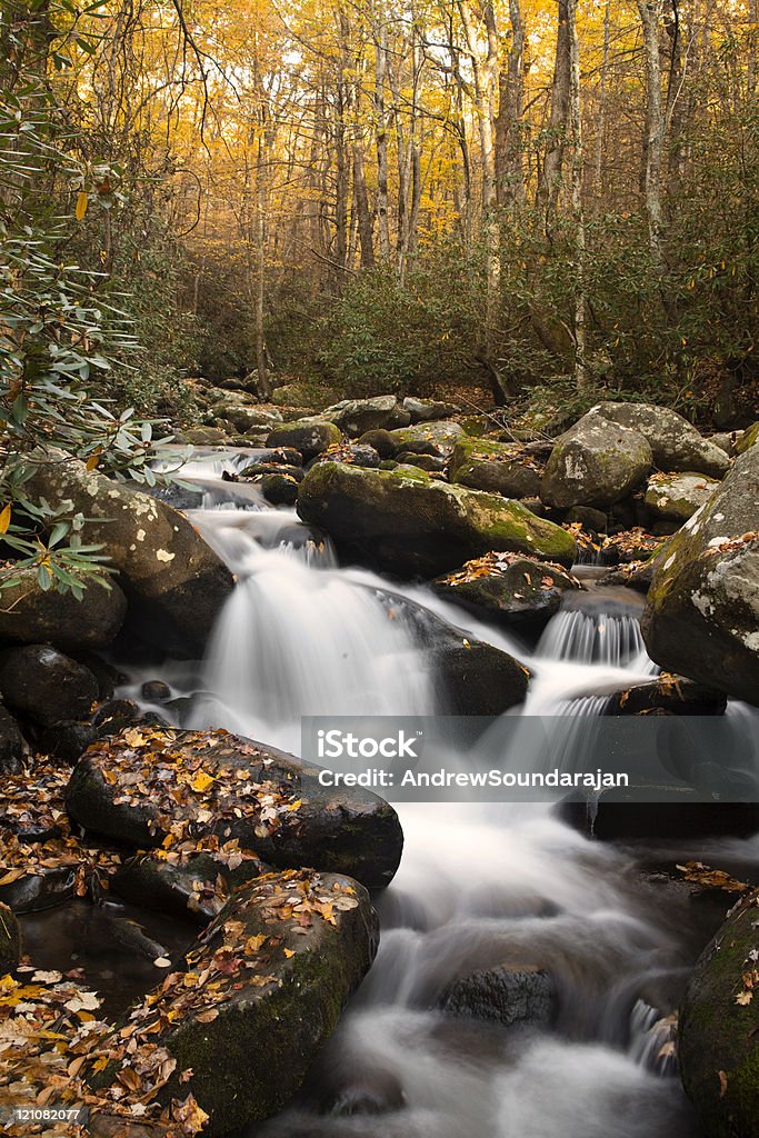 Małe wodospady w Jesień - Zbiór zdjęć royalty-free (Appalachy)