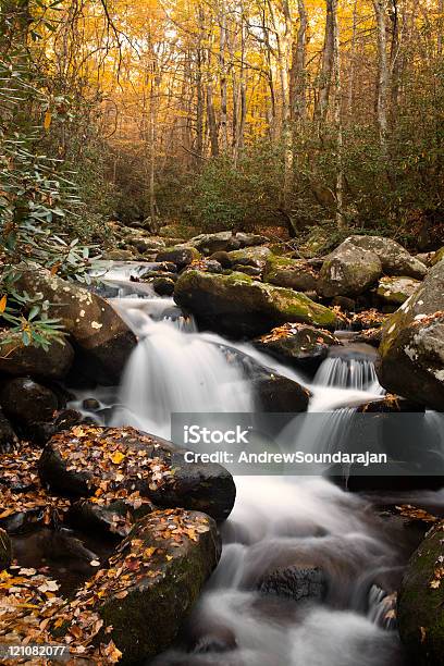 Małe Wodospady W Jesień - zdjęcia stockowe i więcej obrazów Appalachy - Appalachy, Bez ludzi, Drzewo