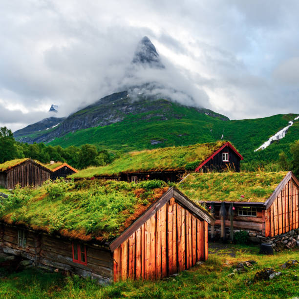 istock Norwegian grass roof old house 1210822883