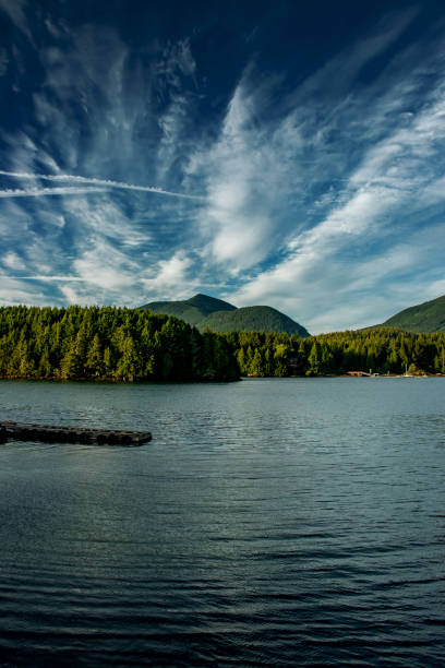 istock Marina and waterfront,  Ucluelet, Vancouver Island, BC, Canada 1210824629