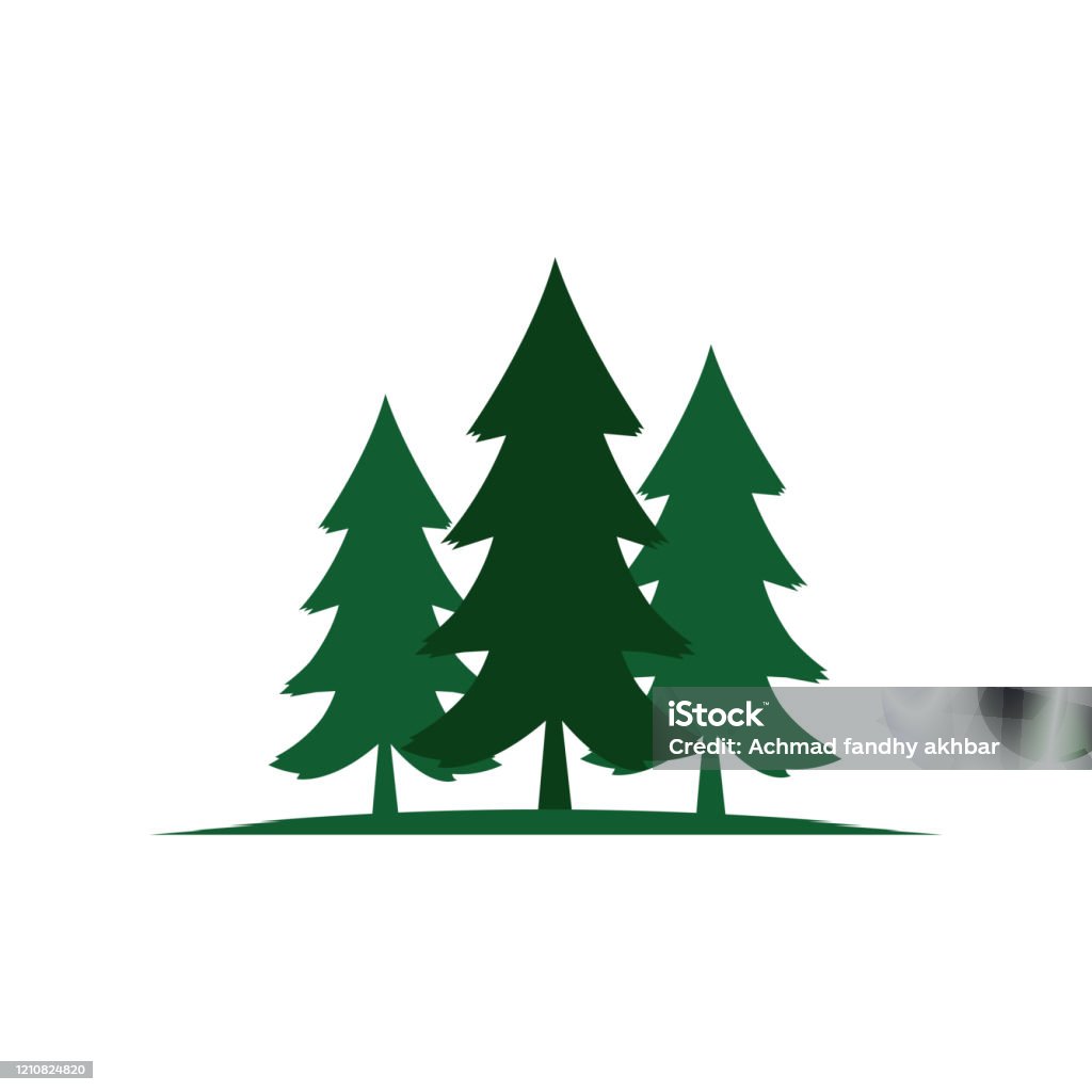 Spruice Tree Vector Spruce Tree Vector Image Stock Illustration - Download Image Now ...