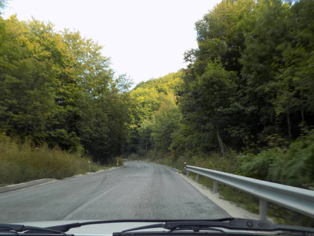 istock Photographing country road through the windshield 1210845036