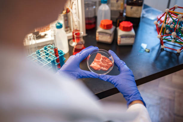 istock Young scientist is inspecting and analyzing the cultured artificial meat sample in laboratory. 1210853353