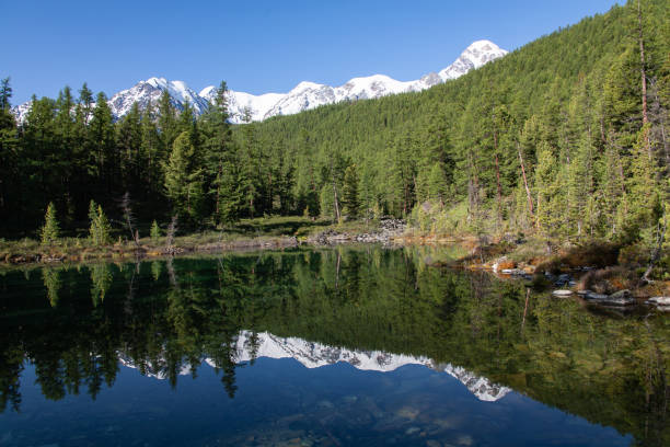 istock altai mountain lake forest glacier snow 1210856354