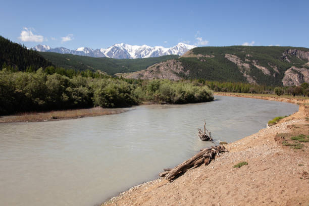 istock altai mountain and river in forest 1210856550