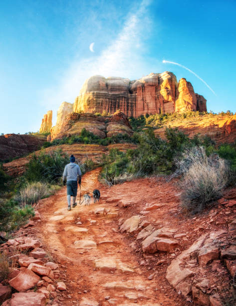 Hiking Sedona Red Rock Trail to Vortex Site Unidentifiable man walking two dogs down a hiking trail leading to vortex site at Catherdal Rock in Sedona, Arizona red rocks landscape stock pictures, royalty-free photos & images