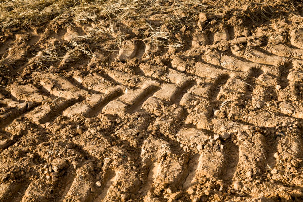 istock tire tracks on the sand 1210860630