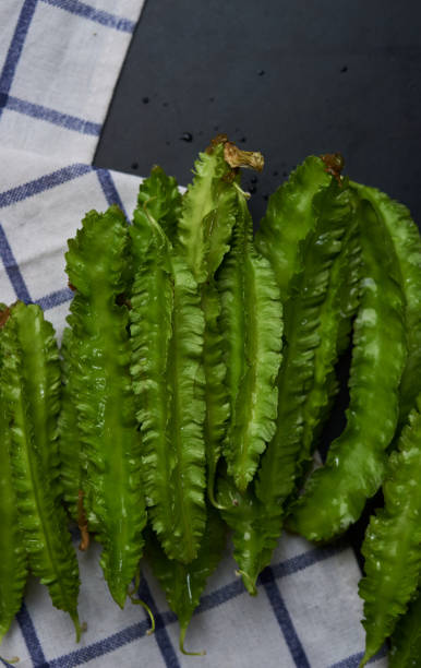 istock Fresh organic homegrown winged beans 1210861756