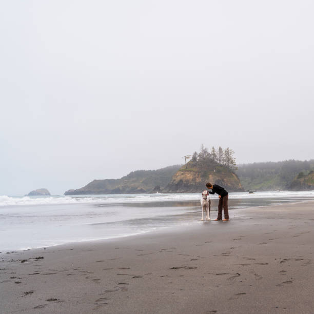 la madura mujer caucásica-blanca de 40 años paseando a su perro grande en la playa del océano pacífico en el día de la niebla. trinidad, california, costa oeste de los estados unidos. - 35 40 years fotografías e imágenes de stock