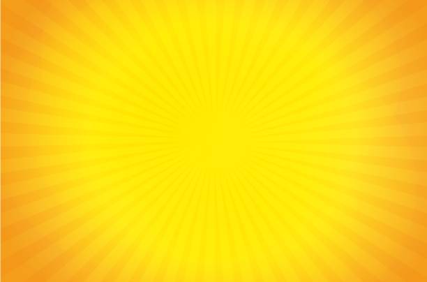 Sunburst vector background Sunburst vector background sun backgrounds stock illustrations