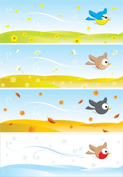 경력과 새 있는 포시즌 - four seasons season four objects four animals stock illustrations