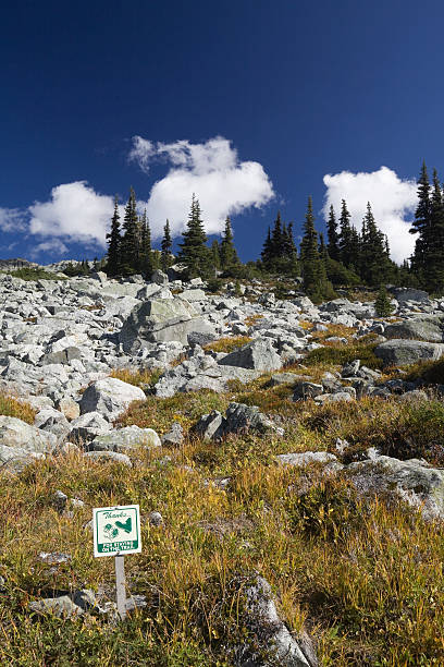 istock mountain landscape with boulders and trees 121086826