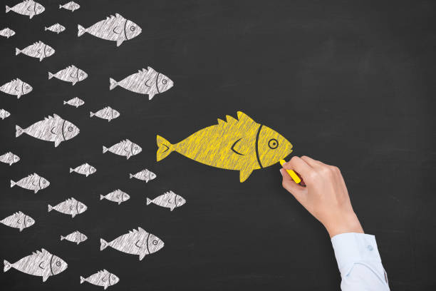 istock Leadership Concepts with Fishes on Chalkboard Background 1210869725