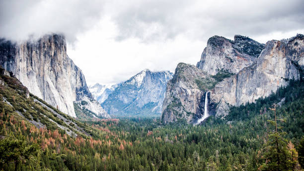 istock Yosemite National Park 1210879534