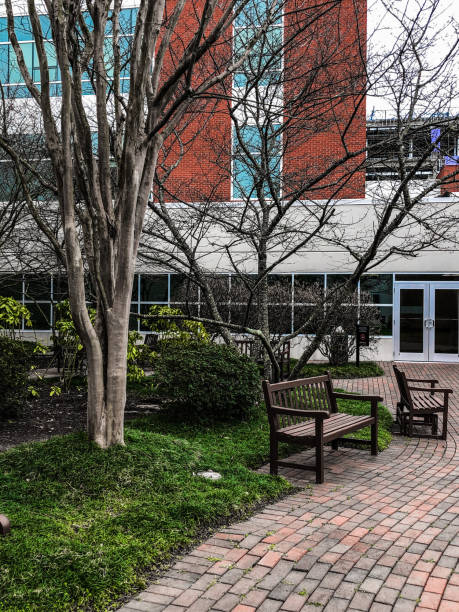 istock Park in the city 1210880058