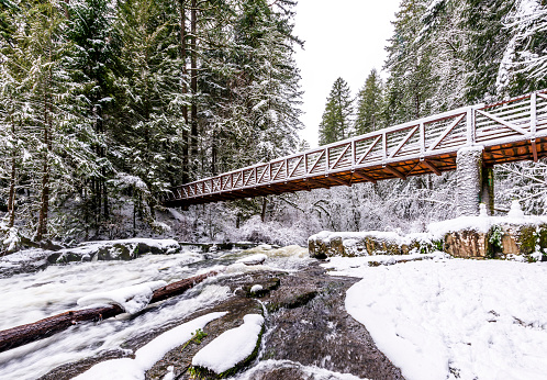 Winter landscape of wild forest with snow-covered trees and a snowy wooden pedestrian bridge for tourists and lovers of hiking through a fast mountain stream flowing over stones