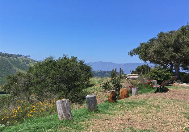 istock Santa Barbara Park Landscape 1210883488