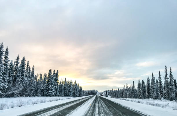 istock Traveling Along Alaska Highway 1210894089