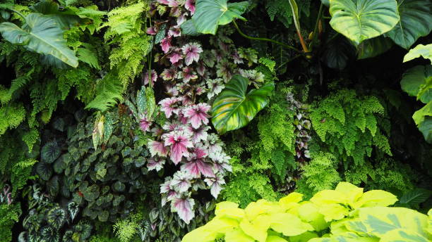 istock Singapore Green Foliage 1210894101