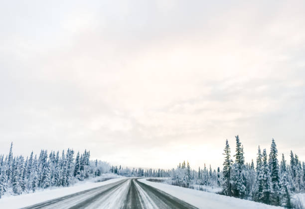 istock Traveling Along Alaska Highway 1210894110