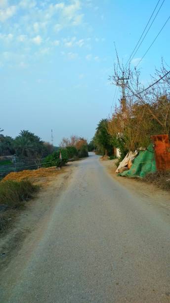istock Street view and colour natural 1210899981