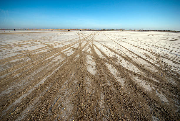 Close-up car tracks on big flat beach stock photo