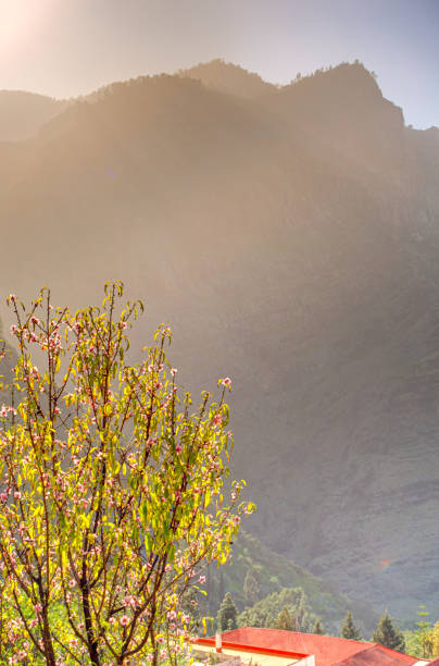 istock Agaete Canyon, Crand Canary, Spain 1210907875