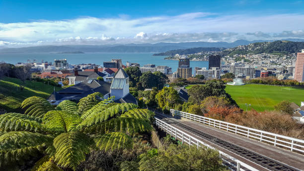 Look down the skyline of Wellington