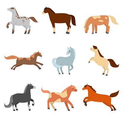 A set of cute cartoon horses of different configuration, color and coloring. Isolated on white background