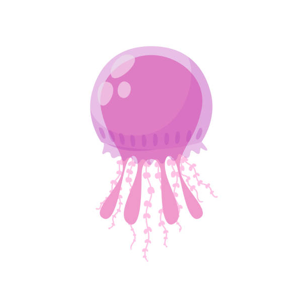 istock Purple, round, marine jellyfish swimming in ocean water 1210913509