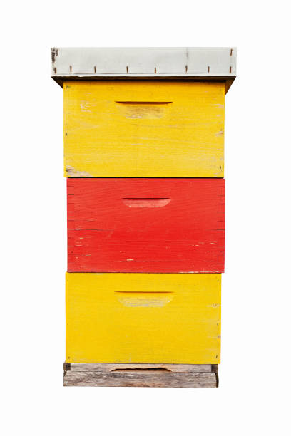 Red and yellow colorful apiary cut out on white background