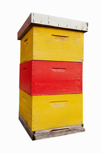 Red and yellow colorful apiary cut out on white background