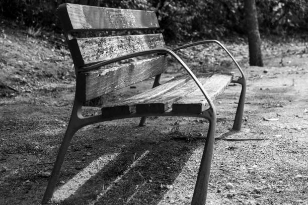 istock Wooden bench in the park 1210924752