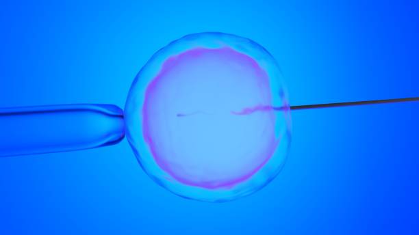 istock In vitro fertilization, artificial insemination. Blue color gradient. 3D-rendering. 1210926212