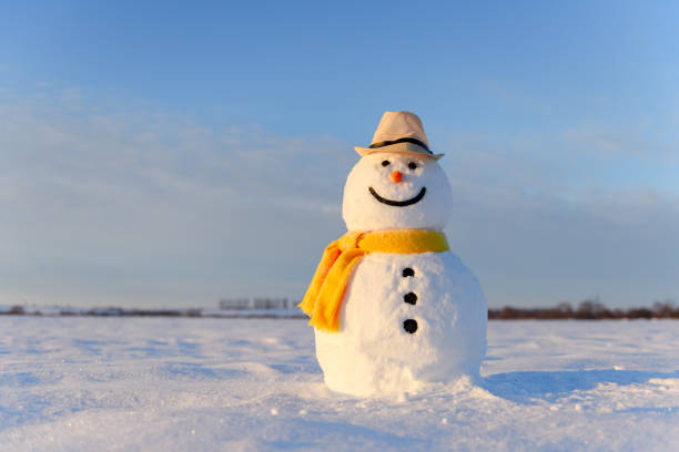 istock Funny snowman in black hat 1210927001