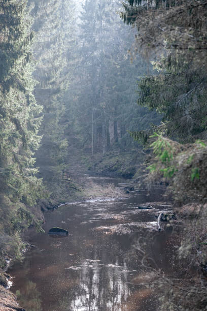 istock picturesque river in forest in autumn 1210929384