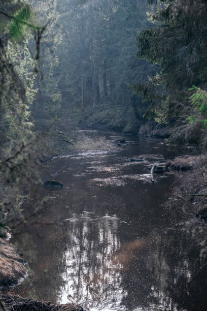 istock picturesque river in forest in autumn 1210929389