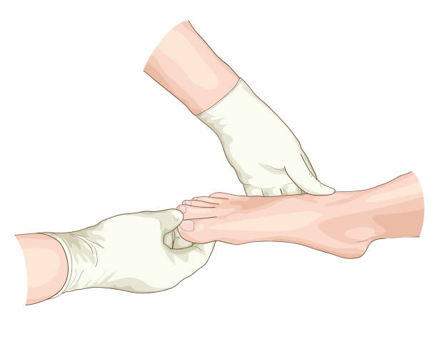 ilustrações de stock, clip art, desenhos animados e ícones de examination of the foot. - reflexology massaging recovery sport