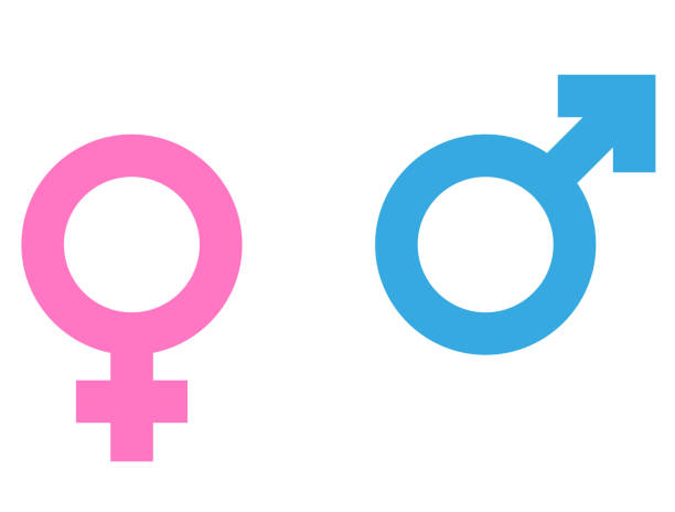 male and female gender symbols or icons vector male and female gender symbols or icons vector illustration gender equality stock illustrations