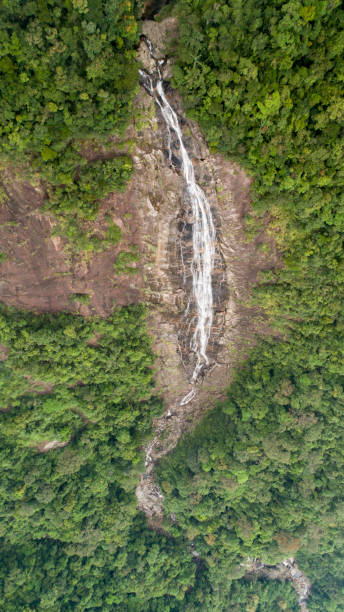 istock Waterfall in The National Vietnam park Bach ma 1210940516