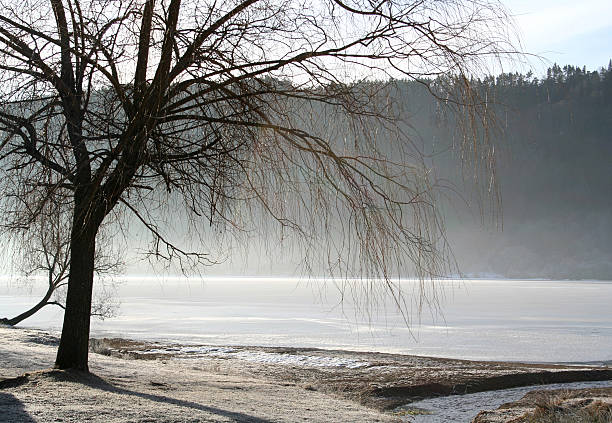 Frozen Lake stock photo