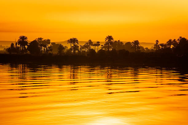 Yellow hue sunset with trees and hills along the Nile River stock photo