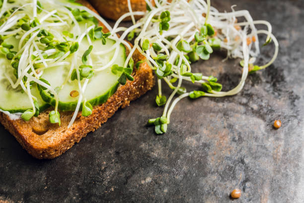 istock Sandwich with cucumber, cheese and microgreens 1210954034