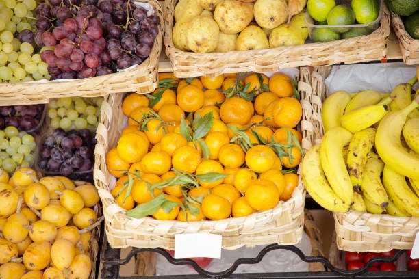 istock lot of fruit to pick from 1210958227