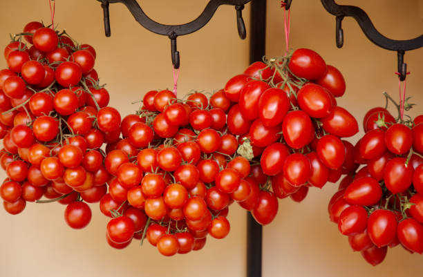 istock big bunch of tomatoes 1210958303