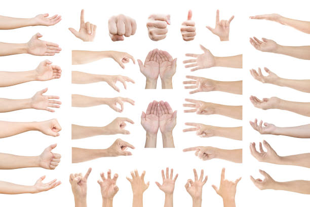 istock Collection of human hands in multiple gesture isolated on white background with clipping path. 1210960870