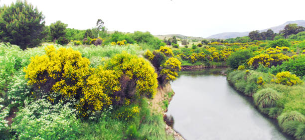 Photo taken in November, 2015, at Sierra de la Ventana, Argentina