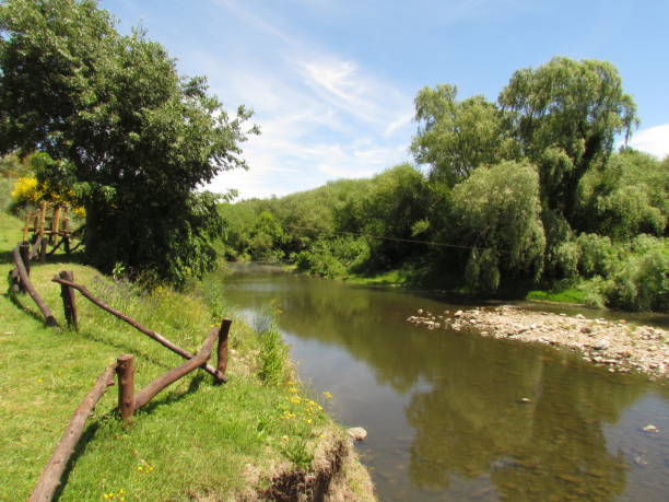istock River with its preserved riparian forests 1210962082