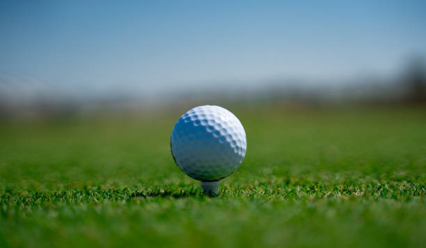 istock Golf ball on tee on golf course over a blurred green field at the sunset. Golf ball on tee over a blurred green field field 1210963084